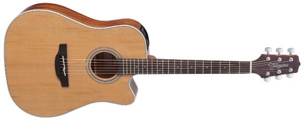 Takamine GD20CE