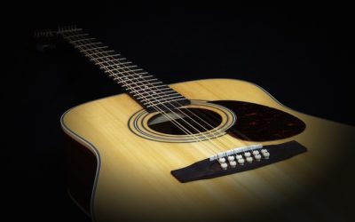 Top 5: die besten Takamine Westerngitarren