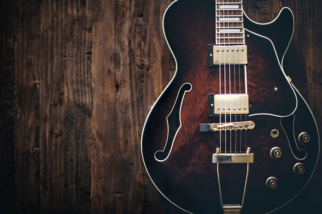 Hollowbody gitarre hotsell