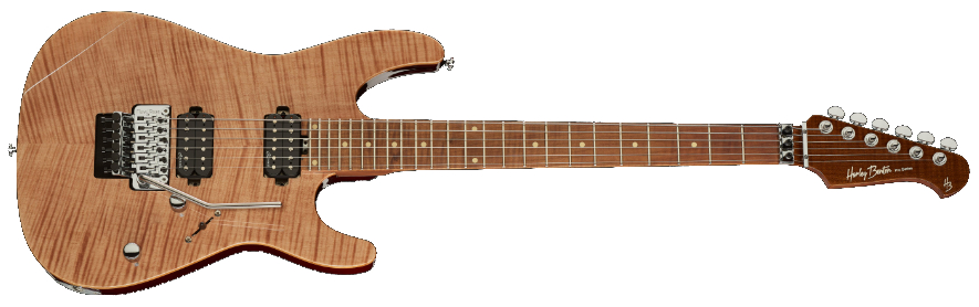 Harley Benton Fusion-III HH FR
