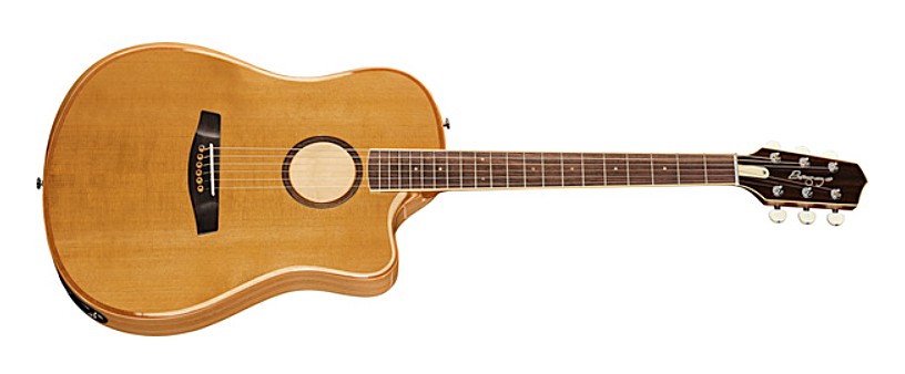 LR Baggs AEG-1